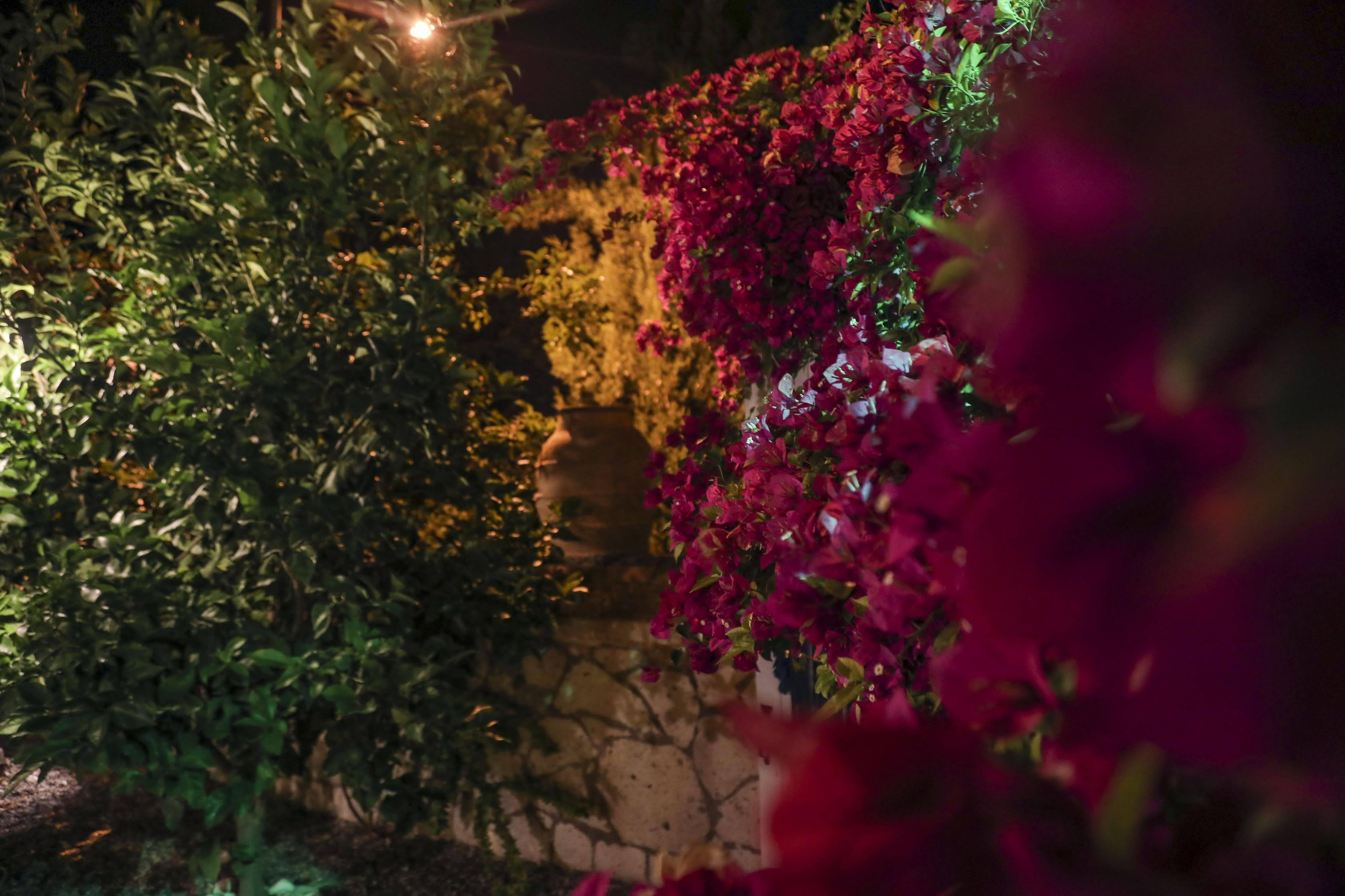 Sari Gelin Alacati Hotel Extérieur photo